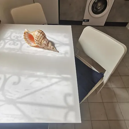 La Conchiglia Di Apartment *
